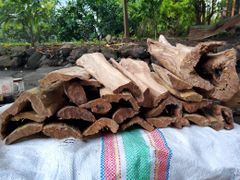 Sandalwood chips, logs and roots - Image 3