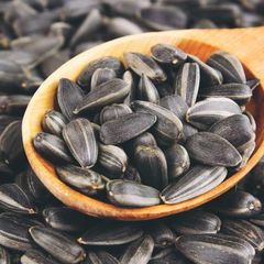 Selected Sunflower Seed Kernels for Crushing with Strong Oil Yield Potential for Vegetable Oil Producers - Image 1