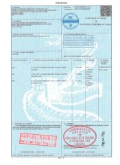 Certificate of origin certificate from HENAN FAIR IMPORT and EXPORT TRADING CO., LTD.