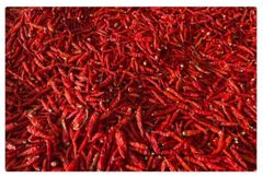 Chilli , cotton , etc ,and all agri materials - Image 1
