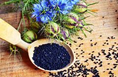 Egyptian Nigella Seeds - Image 1