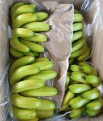 Fresh Premium Banana –  Indonesian Fresh Banana, Grade Premium, Yellow Banana, Green Banana, FOB - Image 4