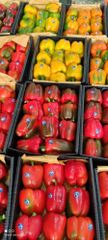 Capsicum Grade 1 Form Egypt Packaging Package: As per client - Image 2