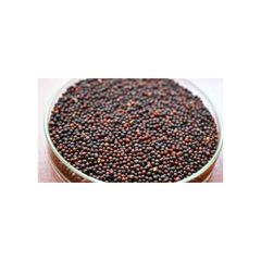Rapeseed offered at discount price for bulk oil extraction and feed use - Image 3