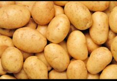 Fresh potato - Image 1