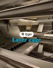 Advanced High-Accuracy Tools for Automatic Chicken Farm Management - Image 2