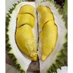 Monthong Durian Made In Vietnam So Fresh Premium Quality Fresh Whole Piece /Frozen Pulp Durian Fruit Monthong – product photo 4, product detail gallery