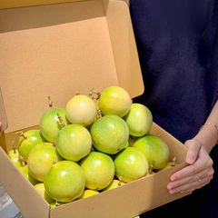 Golden Passion Fruit - 100% High Quality from Vietnam - Best price for export - Image 5