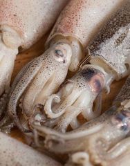 Frozen Small Squid Grade Aa Size 41/50 Moisture Content ≤ 5% Certification Haccp Certified Storage Temperature –14°c Or - Image 1