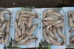 Frozen Shrimp & White Fish from Bangladesh – Bulk Export Supply – product photo 1, product detail gallery