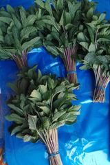 Herbs and Chillies (Fresh and Dried) – product photo 5, product detail gallery
