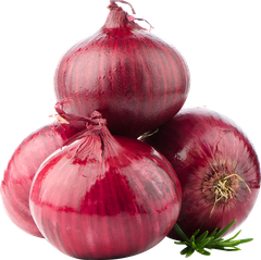 Red onion – product photo 1, product detail gallery