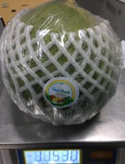 Yam Bean - Image 1