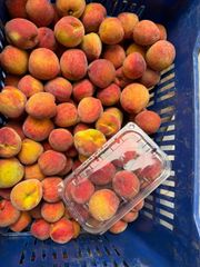 CLASS 1 Export Quality Yellow Flesh Peaches from South Africa! NEW CROPS Excellent packing; – product photo 3, product detail gallery