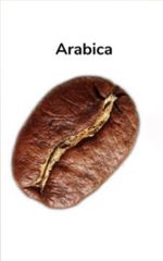 Arabica Coffee – product photo 1, product detail gallery