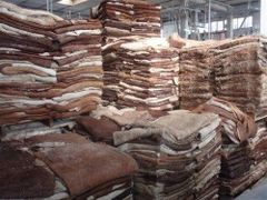 Wet & Salted  Donkey  and  Cow hides - Image 2