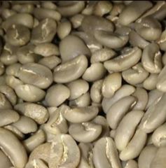 Premium Gayo Arabica Fully Washed - Image 2