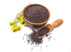 BLACK MUSTARD   Mustard Seeds (Black)  Small Mustard Seeds Packaging 25kg pp - Image 2