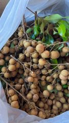 DRIED/ FROZEN LONGAN FROM VIETNAM - Viet Delta Origin Vietnam Shelf Life 24 Months Model Number Ms. Kana Brand Name Viet Delta - Image 3