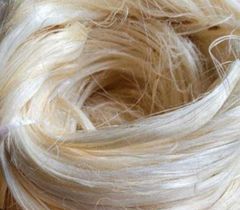 Banana Fiber (Premium Quality biodegradable banana fiber for Textiles, Handicrafts, industries etc. Premium quality long fiber carefully extracted and manually cleaned and sorted) - Image 2
