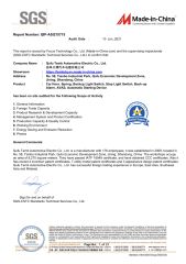 SGS certificate of Qufu Temb Automotive Electric Co., Ltd. – certificate photo, supplier certificates section