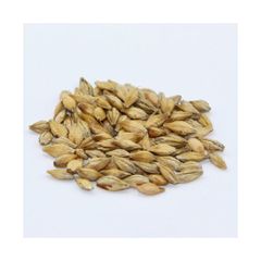 Barley grain wholesale bulk supply available at factory direct price - Image 4