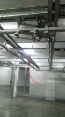 Fully Automatic Slaughtering Equipment for Cattle - Image 6