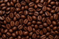 Robusta coffee beans – product photo 1, product detail gallery