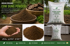 Cow Dung Powder - Image 3