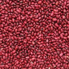 Wholesale Ethiopian High Quality Cream Beans Fresh Kidney Red and White Beans Common Cultivation Type - Image 1