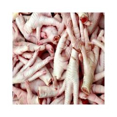 Premium chicken feet wholesale stock bulk purchase low price quick shipment - Image 2