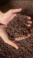 Cloves Grade AB6 Shelf Life 1-1.5 years Packaging 50KG PP Bags Max. Moisture (%) 12-14 Drying Process Sun-dried Color Brownish/Dark - Image 1