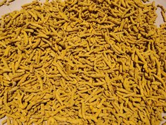 Turmeric Finger - Salem & Nizambad (premium quality) – product photo 2, product detail gallery
