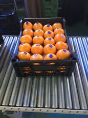 Mandarin - Image 1