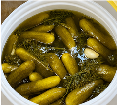 Pickled Cucumbers - Image 4