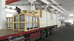 Cold Storage Room for Milk and Fish - Image 5