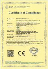 CE FOR MH LAMP certificate of Ningbo Fenghua Noerka Lighting & Fixture Co., Ltd. – certificate photo, supplier certificates section