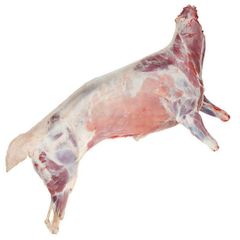 Premium Frozen Whole Goat Carcass | Indonesian Origin | Export Supply - Image 2