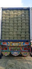 1121 basmati rice - Image 1