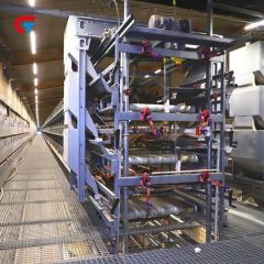 Chicken Feeding Factory Making Automatic Battery New Design Poultry Cages Manufacturers - Image 4
