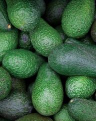 Organic Fresh Avocado, Premium Grade, Nutrient-Rich Fruit, Perfect for Cooking & Healthy Eating - Image 5