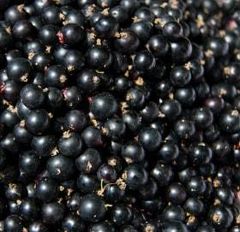 Frozen Black currant - Image 1
