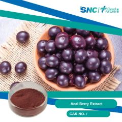 Organic Acai Juice Powder - Pure Concentrate for Health Benefits - Image 1