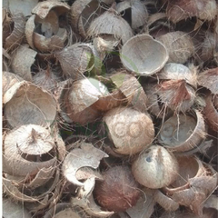 Halved Cut Coconut Shell - Image 3