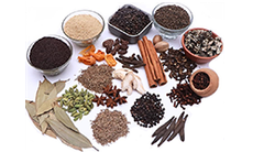 Spice Powder – Premium Export Quality - Image 2