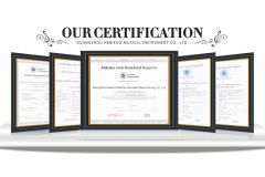 SGS certification certificate from Guangzhou Hebikuo Musical Instrument Co., Ltd.
