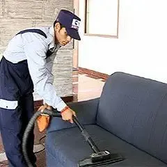 Carpets And Chairs Cleaning Services Cleaning Method Steam Cleaning Pre-spray Solution Contains No Harmful Chemicals, Solvents, Or - Image 1