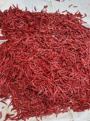 Red Chilli - Teja S17 Material Raw Shelf Life 12 months Place of Origin INDIA Max. Moisture (%) Below 12% Brand Name JRR - Image 4