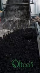 Dried Prunes – product photo 5, product detail gallery