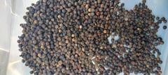 Cashew Nut - Image 1